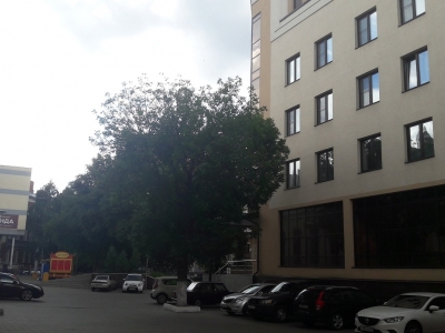 Аренда офиса 61 кв.м. на ул. К. Маркса г. Воронеж