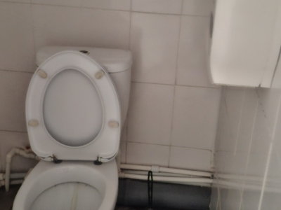 Сдаю помещение 800 кв.м. (автосалон) по ул. Остужева, трасса М-4 г. Воронежа.