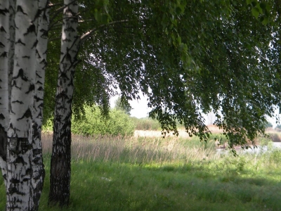 Продается земельный участок 50 га.в пригороде Воронежа на берегу пруда.