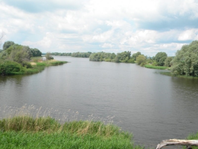 Продается земельный участок 50 га.в пригороде Воронежа на берегу пруда.