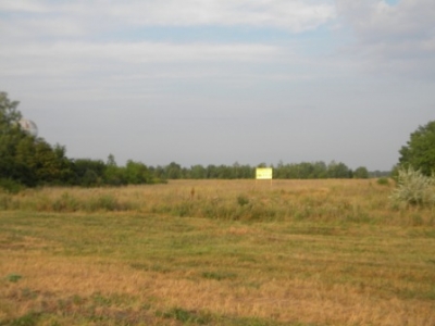 Продаётся земельный участок 4,8 Га. на трассе М-4 Дон в Рамонском районе Воронежской обл.