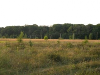 Продаётся земельный участок 20 Га. в  посёлке Чертовицы под коттеджный посёлок.