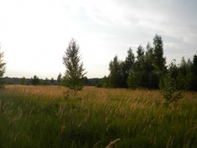 Продаётся земельный участок 20 Га. в  посёлке Чертовицы под коттеджный посёлок.