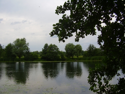 Продаётся земельный участок 60 соток в Чертовицах на берегу реки Воронеж.