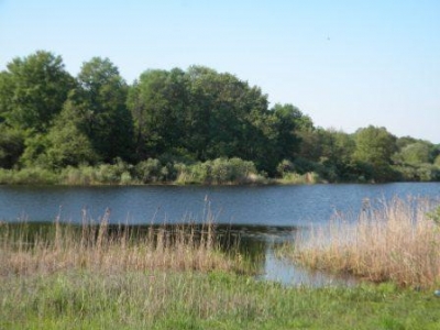 Продаётся участок 29 Га в пригороде Воронежа на берегу озера.