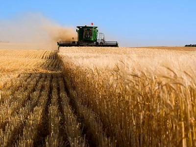 Продается земля сельскохозяйственного назначения 11000 га. в Воронежской области.