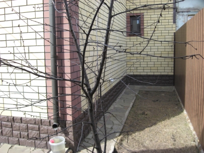 Воронеж Ленинский район ул. Краснознаменная