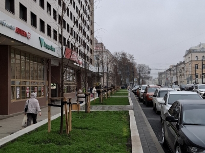 Магазин 45 кв.м. по ул. Плехановская Воронеж