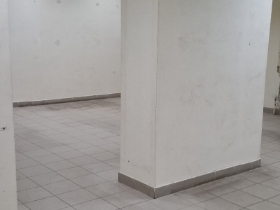 Аренда магазина 220 кв.м. по ул. 20 Лет Октября г. Воронеж